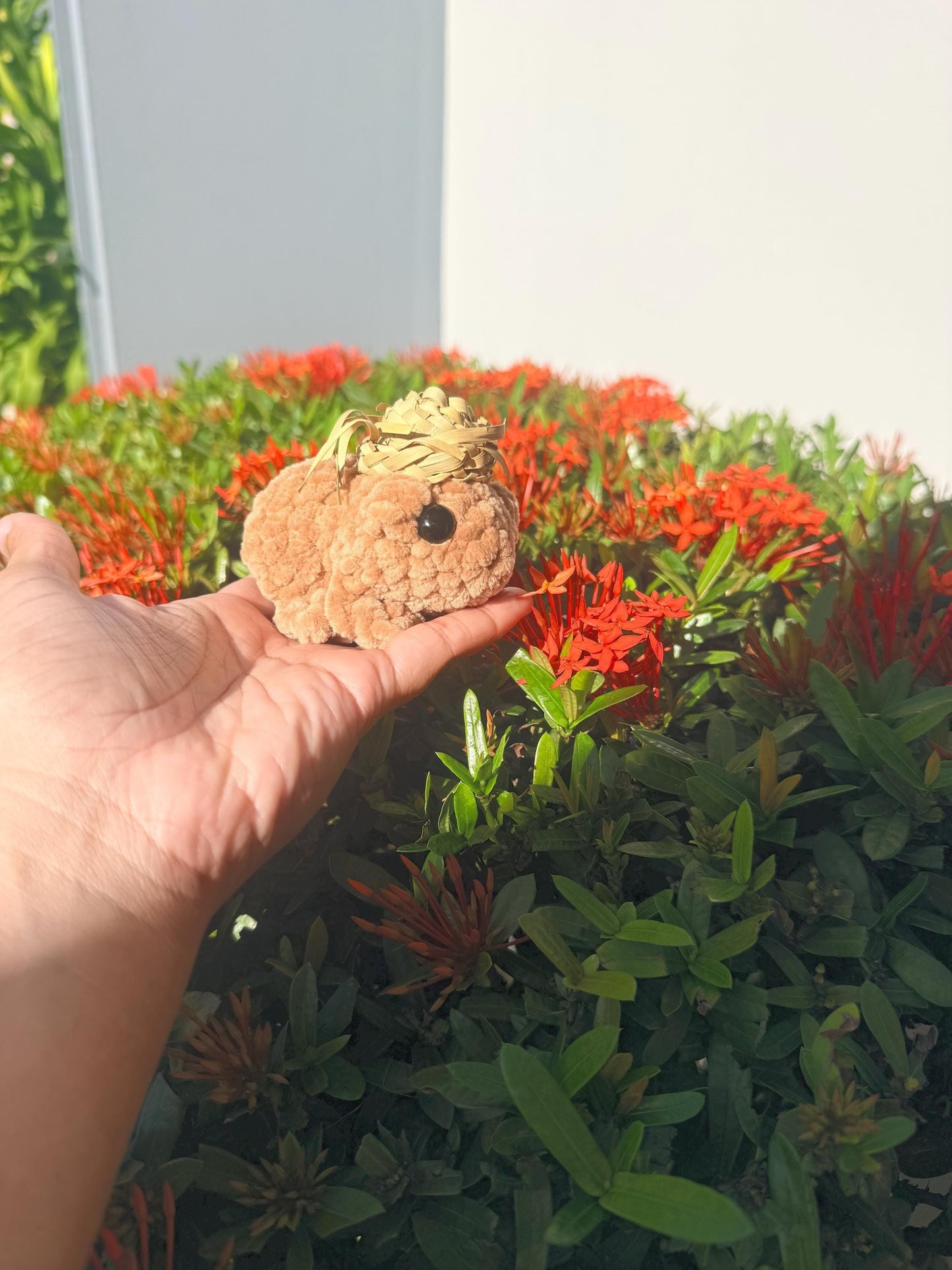 Coquí Boricua Tejido a Mano | Coquí Amigurumi Handmande
