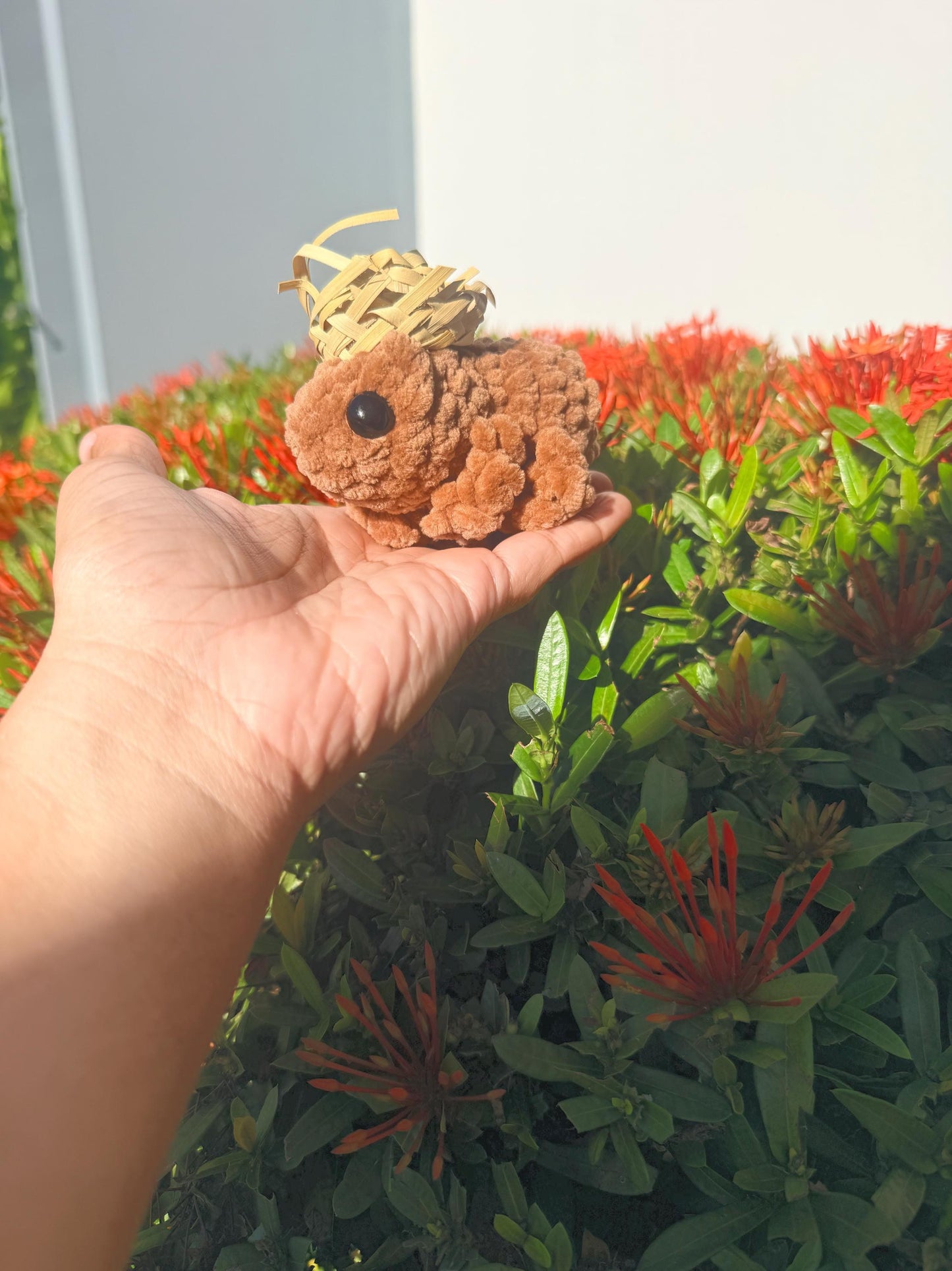 Coquí Boricua Tejido a Mano | Coquí Amigurumi Handmande