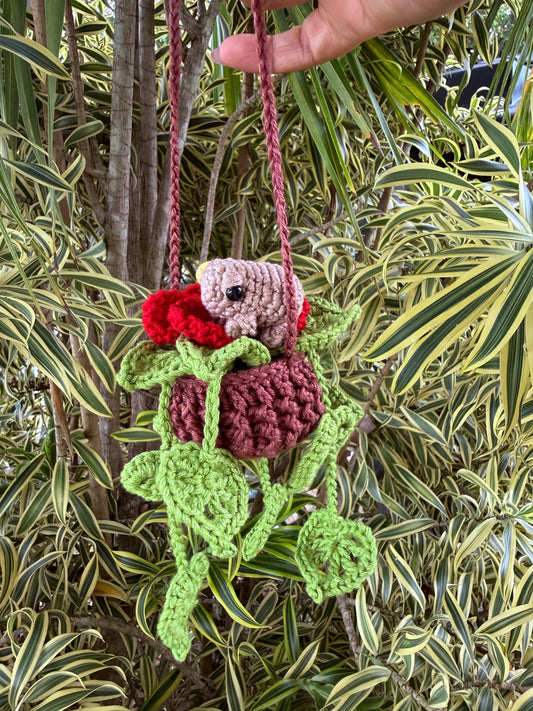 Colgante de Maceta en Crochet con Flor de Maga y Coquí | Decoración Artesanal Puertorriqueña