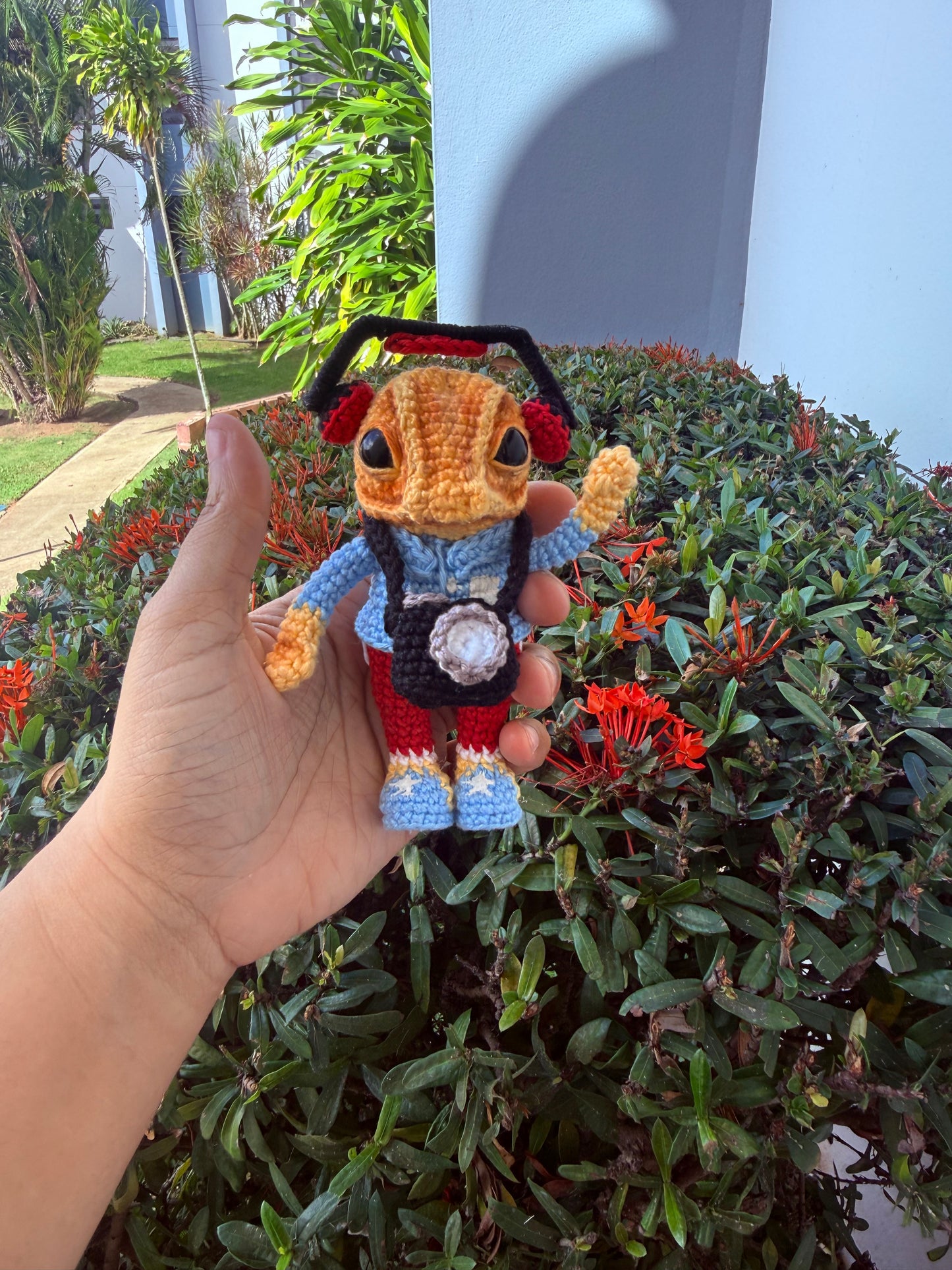 Sapo Concho Boricua Amigurumi | Crochet Puerto Rican Frog