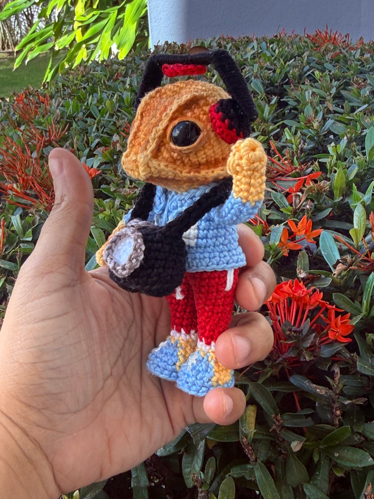Sapo Concho Boricua Amigurumi | Crochet Puerto Rican Frog